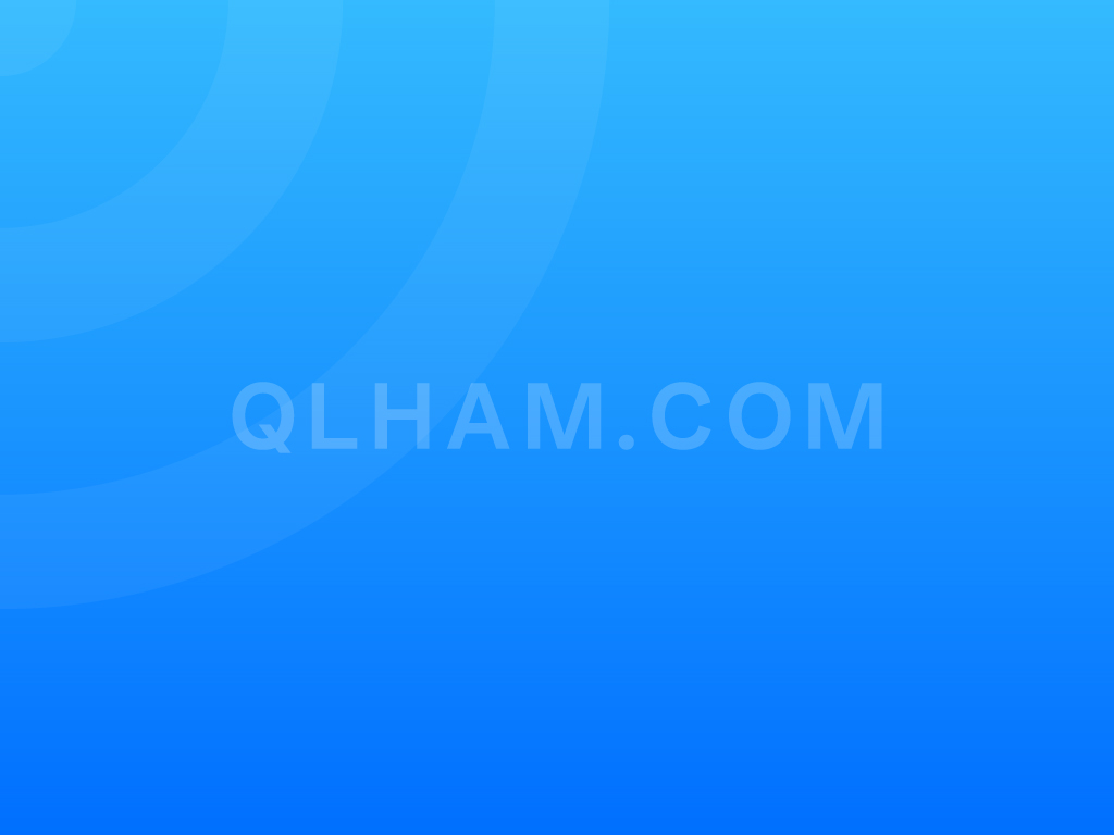 HAM 定制 T 恤